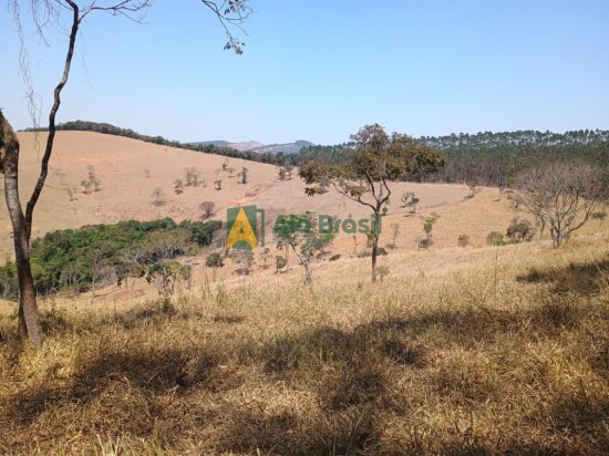 fazenda-venda-desterro-de-entre-rios-952229