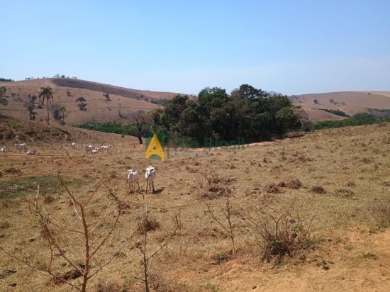 fazenda-venda-desterro-de-entre-rios-952224