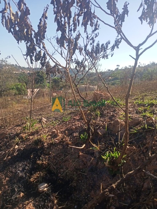 lote-venda-bairro-nazare-sao-joaquim-de-bicas-894395